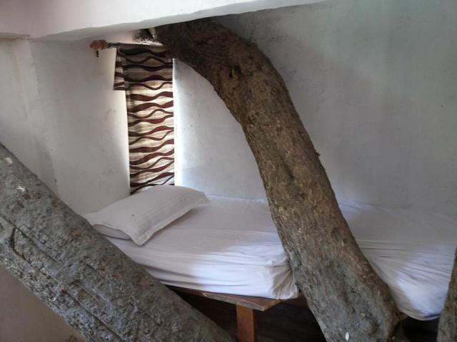 Junglee Resort Rajaji National Park Rishīkesh Zimmer foto