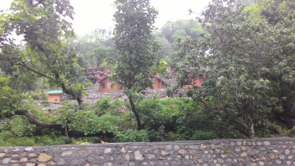 Junglee Resort Rajaji National Park Rishīkesh Zimmer foto